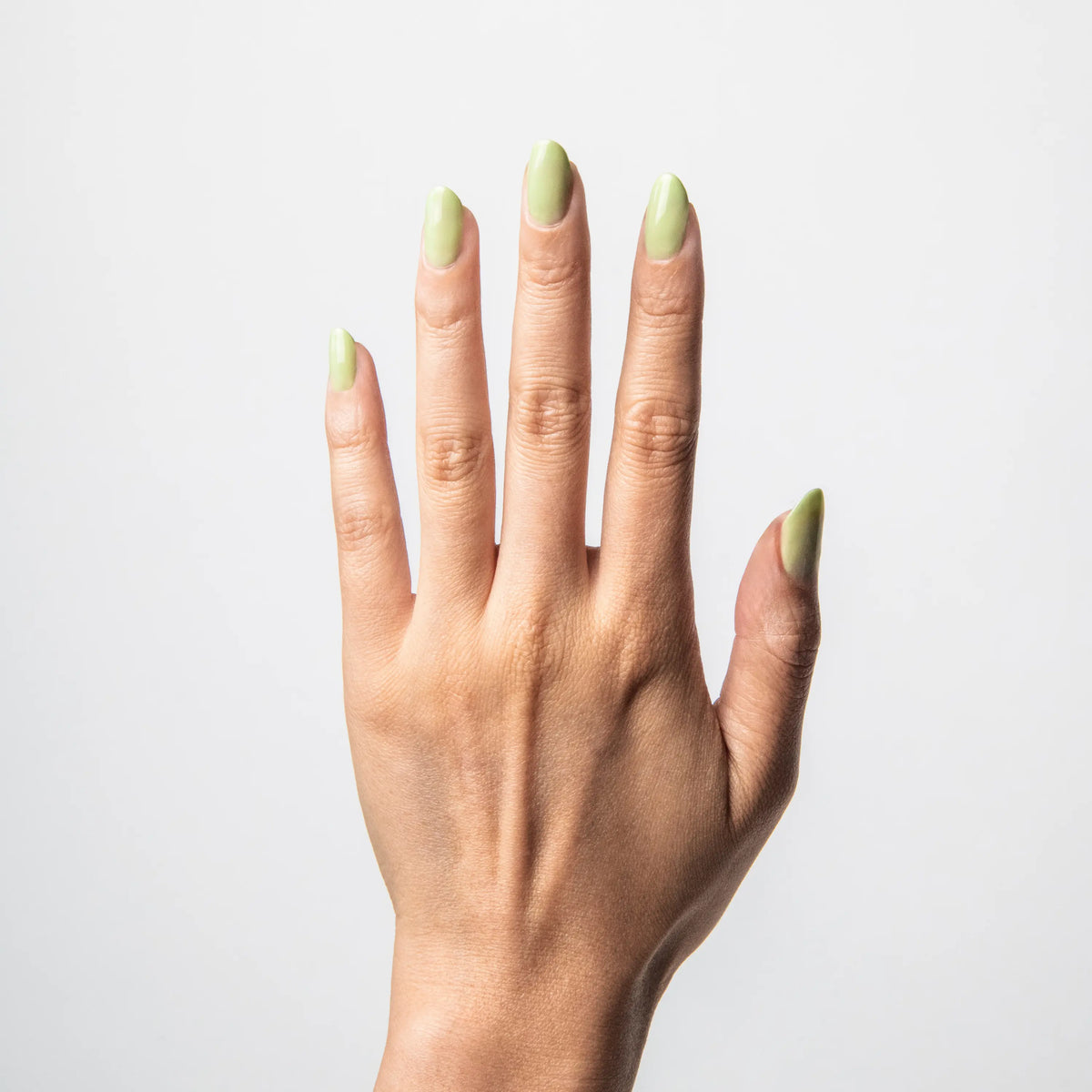 Jade LIPPMANN