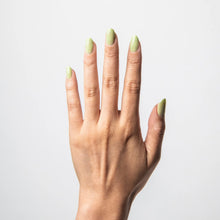Jade LIPPMANN