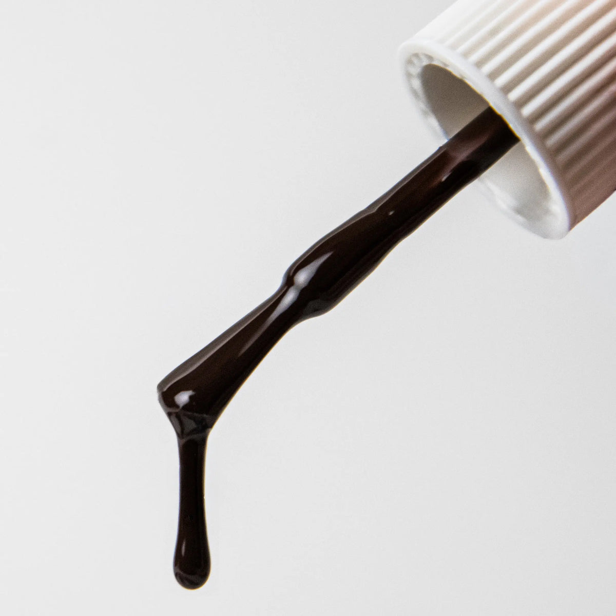 Cacao (UPDATE IMAGERY) LIPPMANN