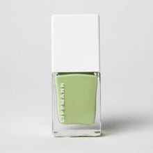 The Fall / Winter Set LIPPMANN
